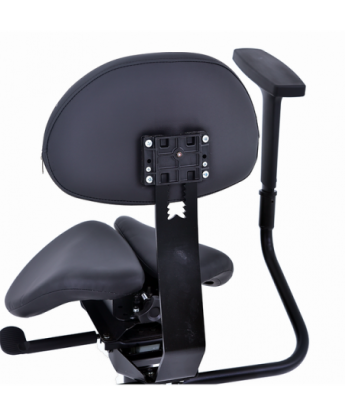 Mocho Sela Vision IV - Layout